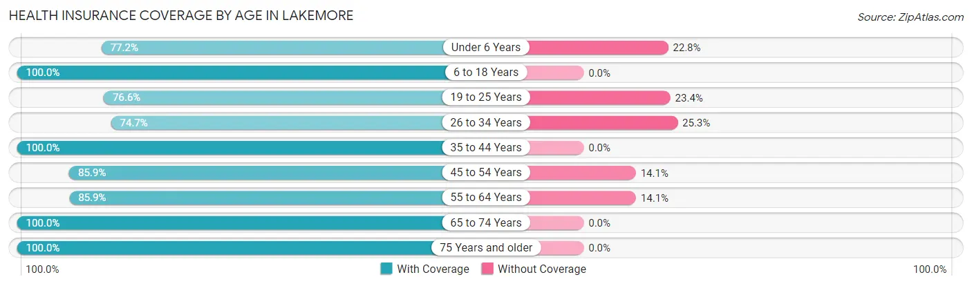 Health Insurance Coverage by Age in Lakemore
