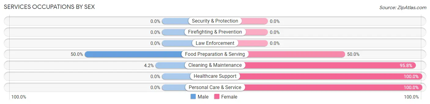 Services Occupations by Sex in Lakeview