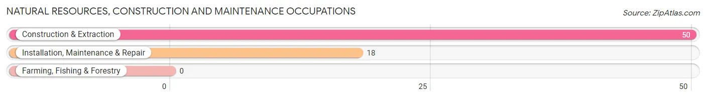 Natural Resources, Construction and Maintenance Occupations in Laura