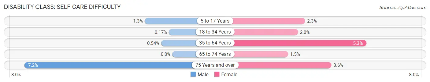 Disability in Lebanon: <span>Self-Care Difficulty</span>