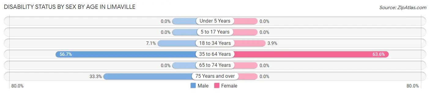 Disability Status by Sex by Age in Limaville