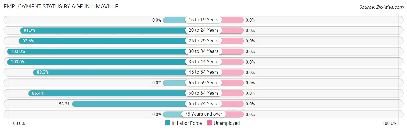 Employment Status by Age in Limaville