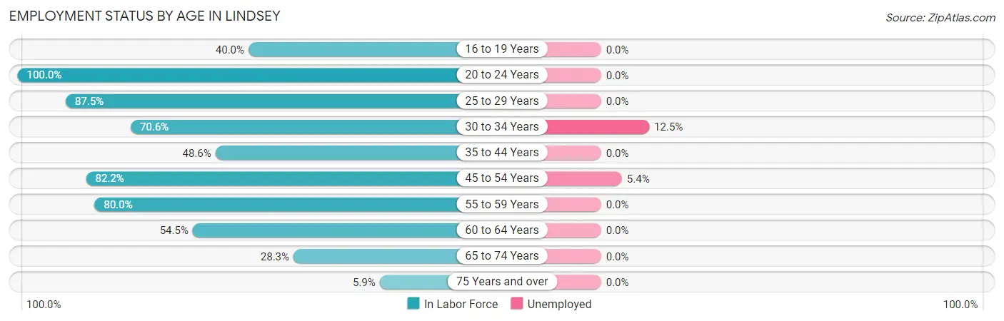 Employment Status by Age in Lindsey
