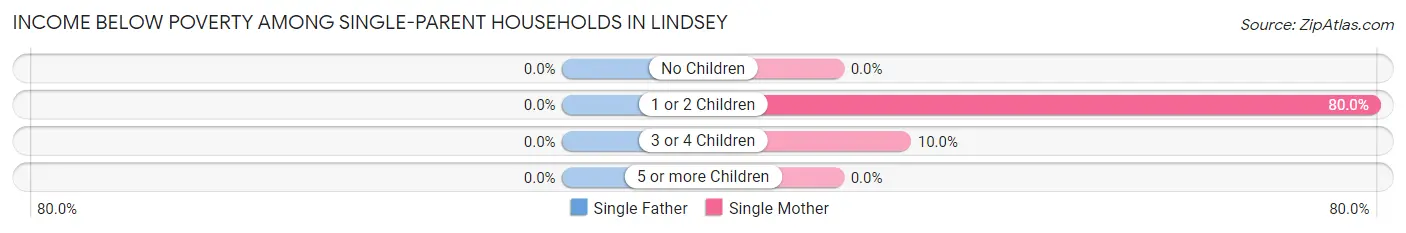 Income Below Poverty Among Single-Parent Households in Lindsey