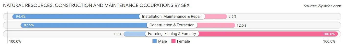 Natural Resources, Construction and Maintenance Occupations by Sex in Lindsey