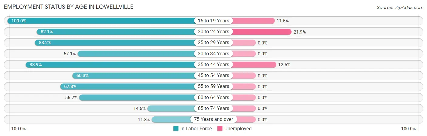 Employment Status by Age in Lowellville