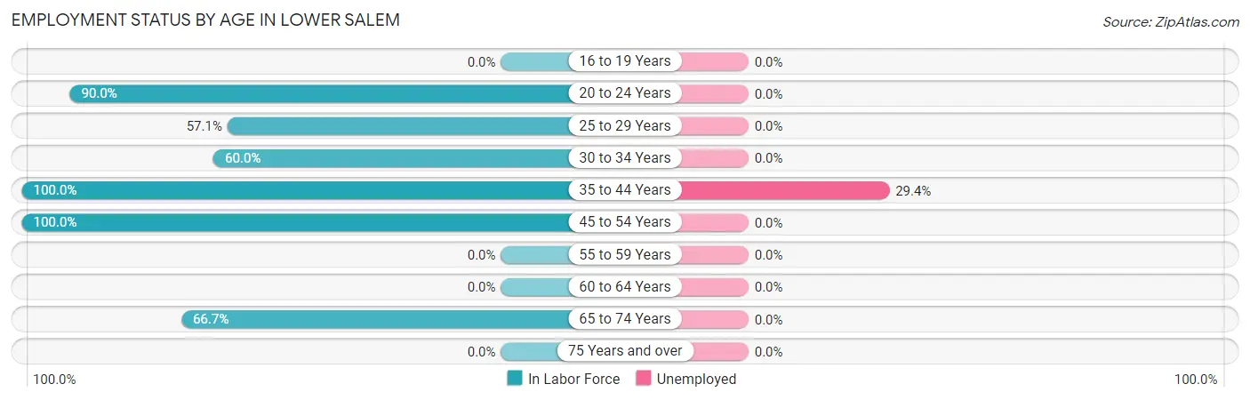 Employment Status by Age in Lower Salem