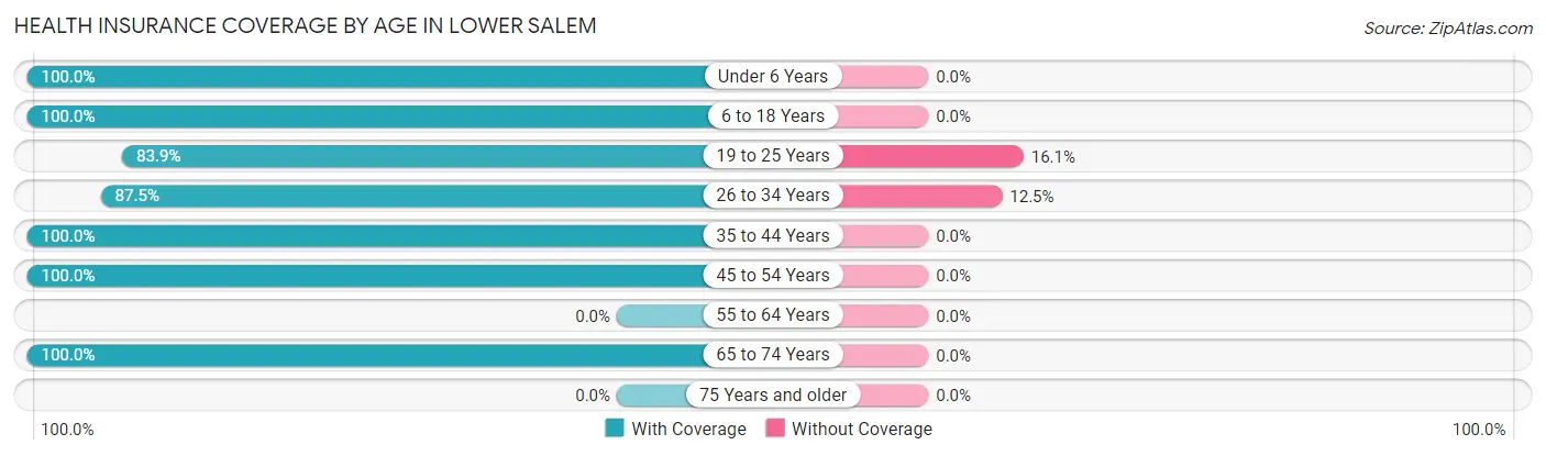 Health Insurance Coverage by Age in Lower Salem