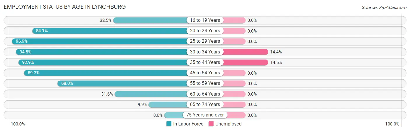 Employment Status by Age in Lynchburg