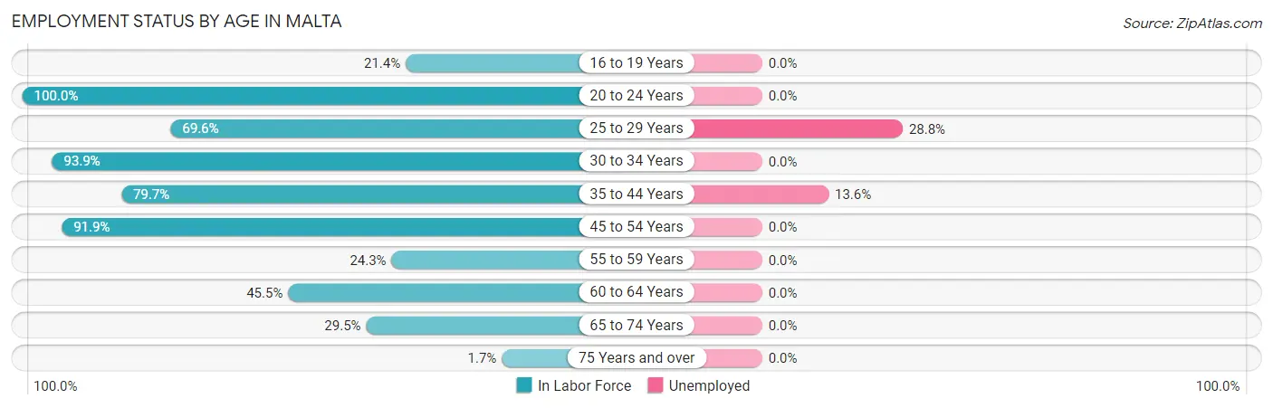 Employment Status by Age in Malta