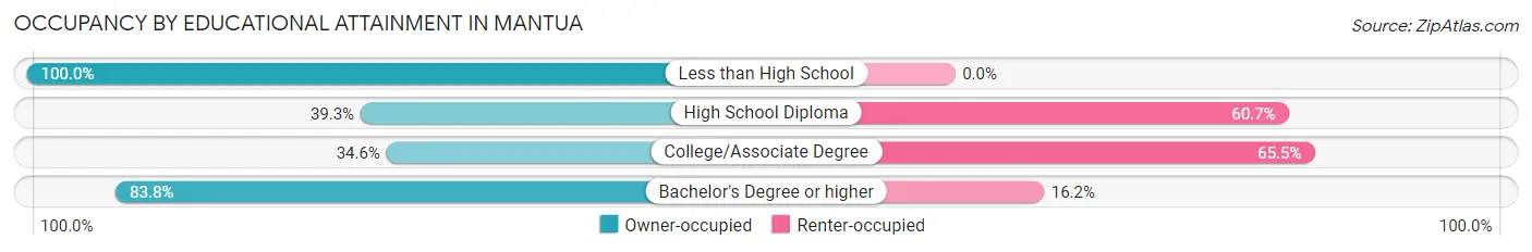 Occupancy by Educational Attainment in Mantua