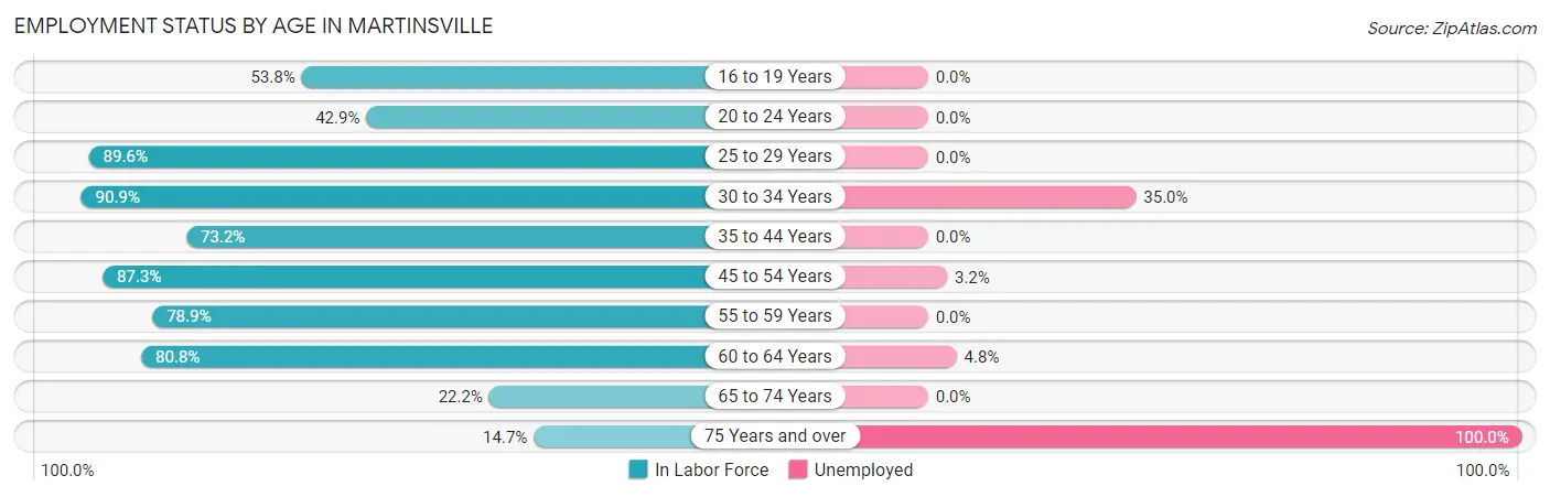 Employment Status by Age in Martinsville