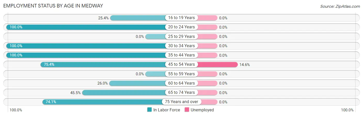 Employment Status by Age in Medway