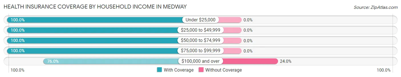 Health Insurance Coverage by Household Income in Medway