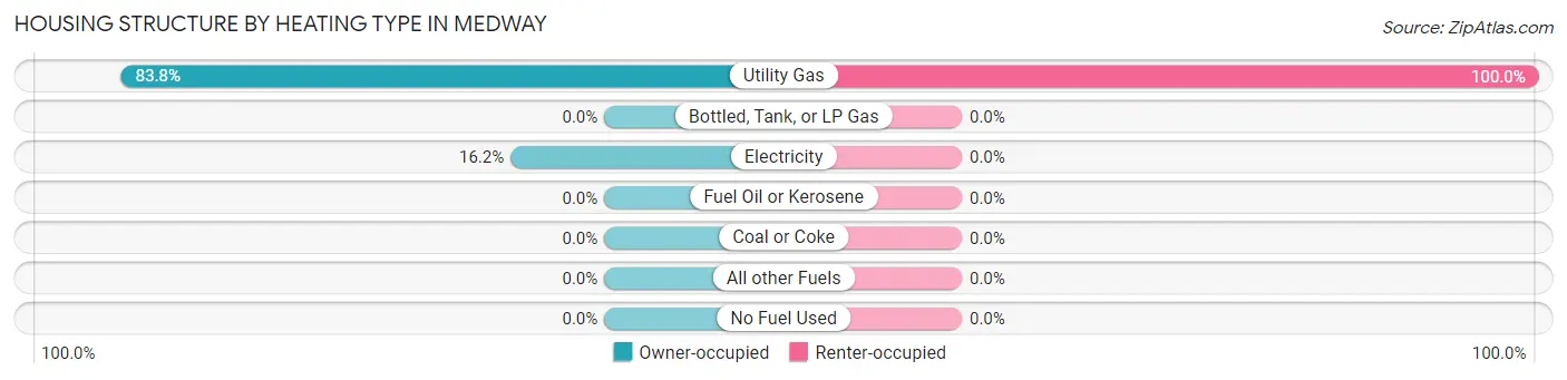 Housing Structure by Heating Type in Medway