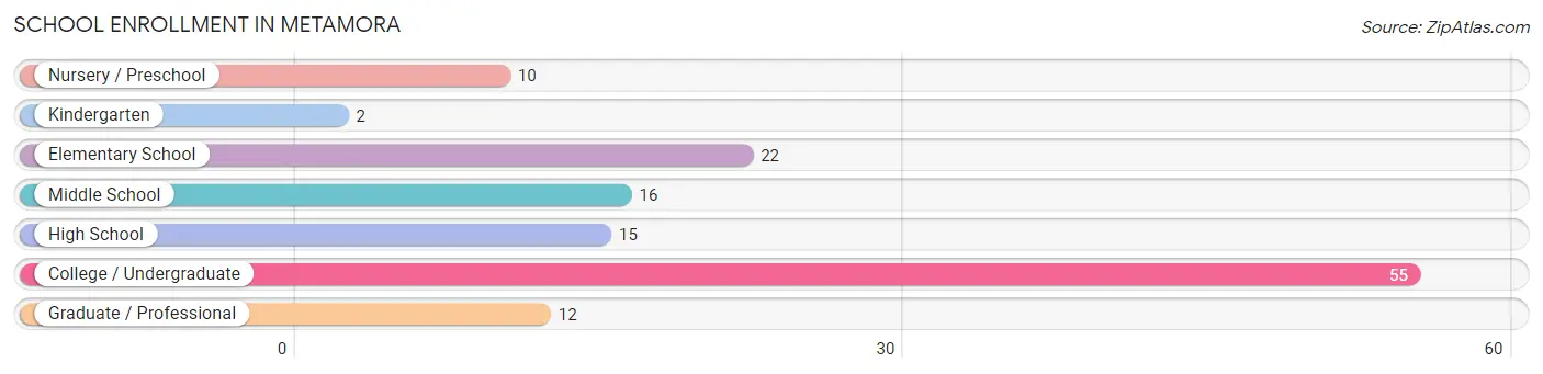 School Enrollment in Metamora