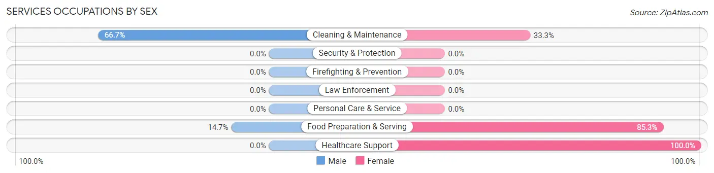 Services Occupations by Sex in Metamora