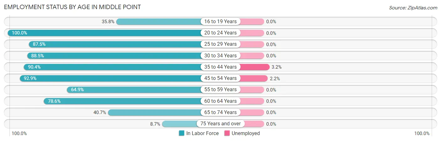 Employment Status by Age in Middle Point