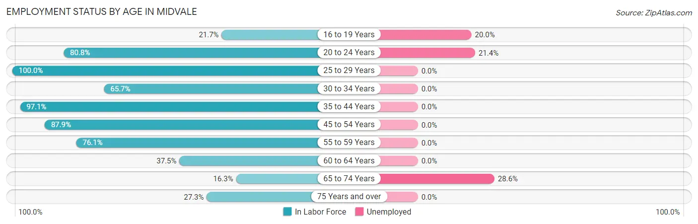 Employment Status by Age in Midvale