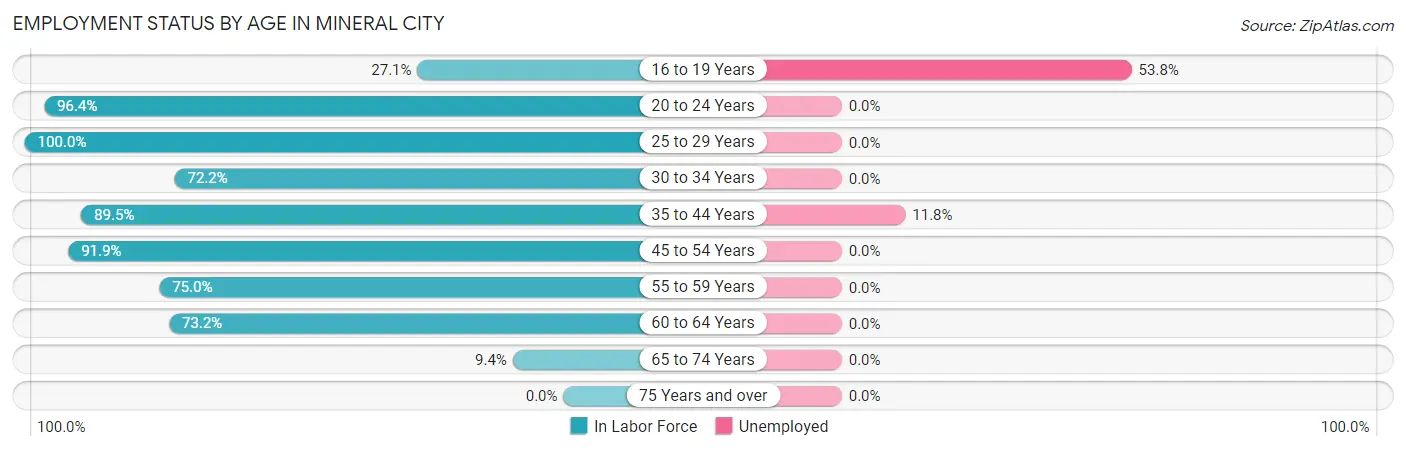 Employment Status by Age in Mineral City