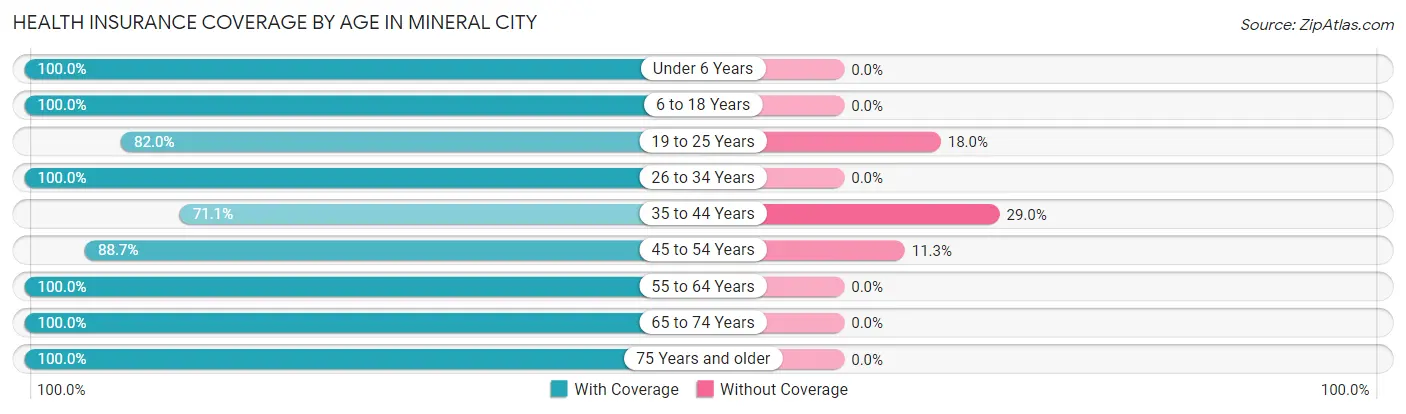 Health Insurance Coverage by Age in Mineral City
