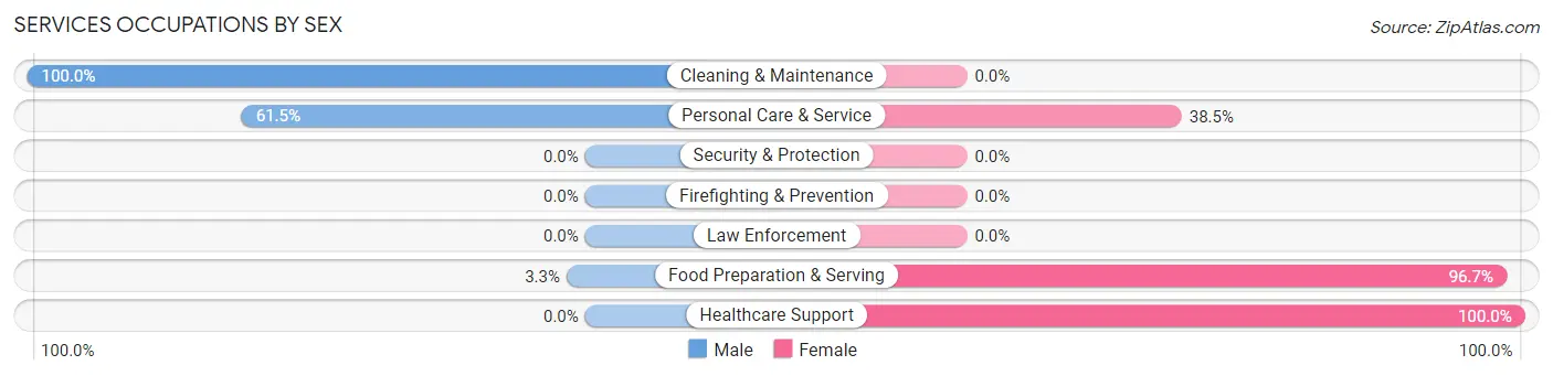 Services Occupations by Sex in Mineral City
