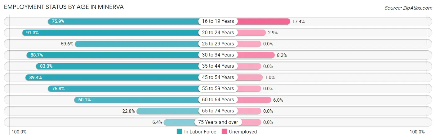 Employment Status by Age in Minerva