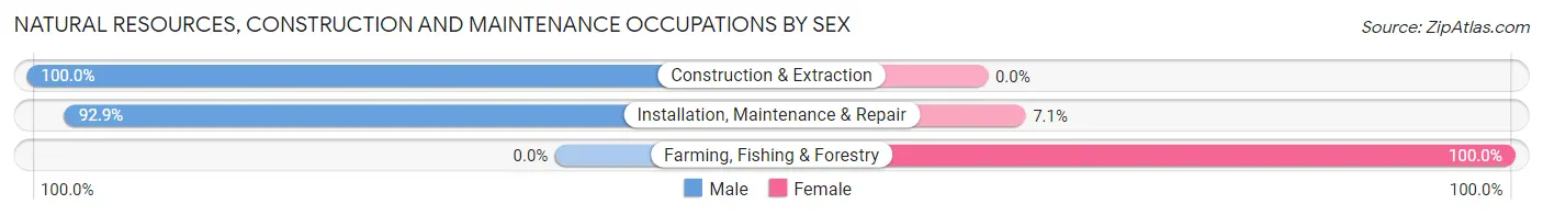 Natural Resources, Construction and Maintenance Occupations by Sex in Minerva