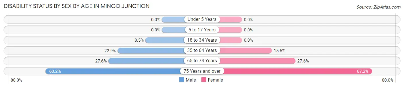 Disability Status by Sex by Age in Mingo Junction