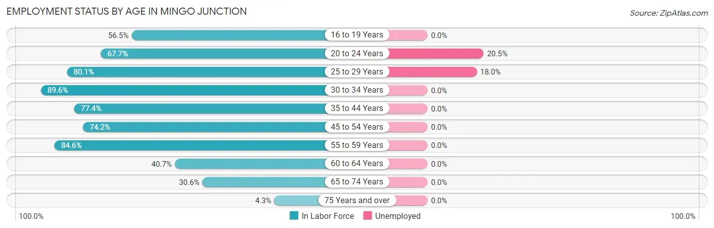 Employment Status by Age in Mingo Junction