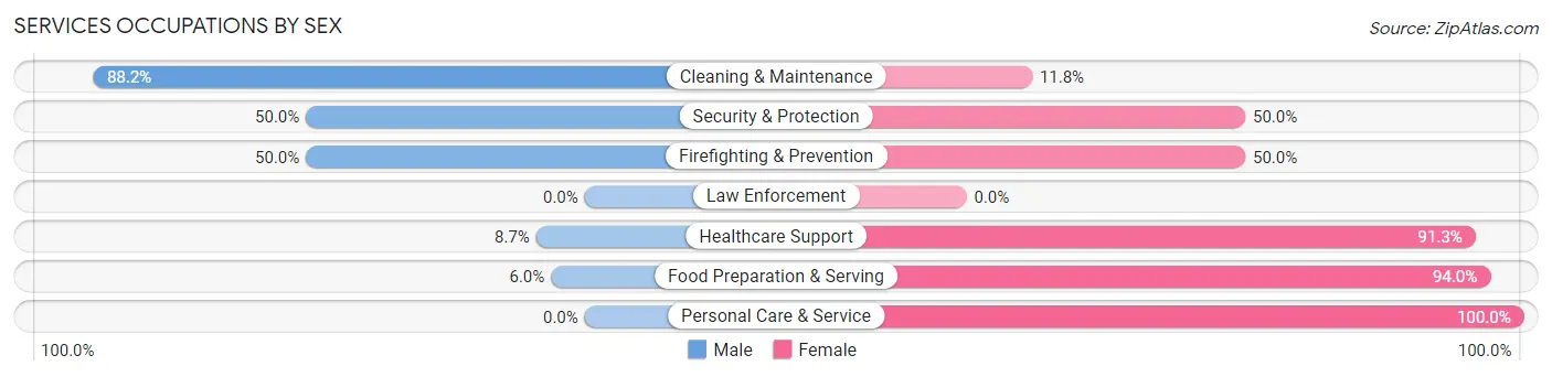 Services Occupations by Sex in Mingo Junction