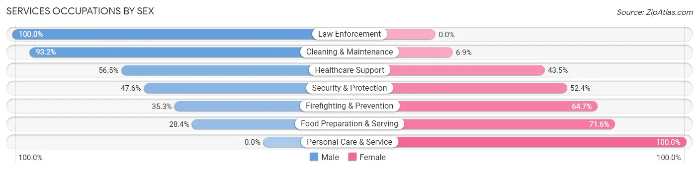 Services Occupations by Sex in Minster