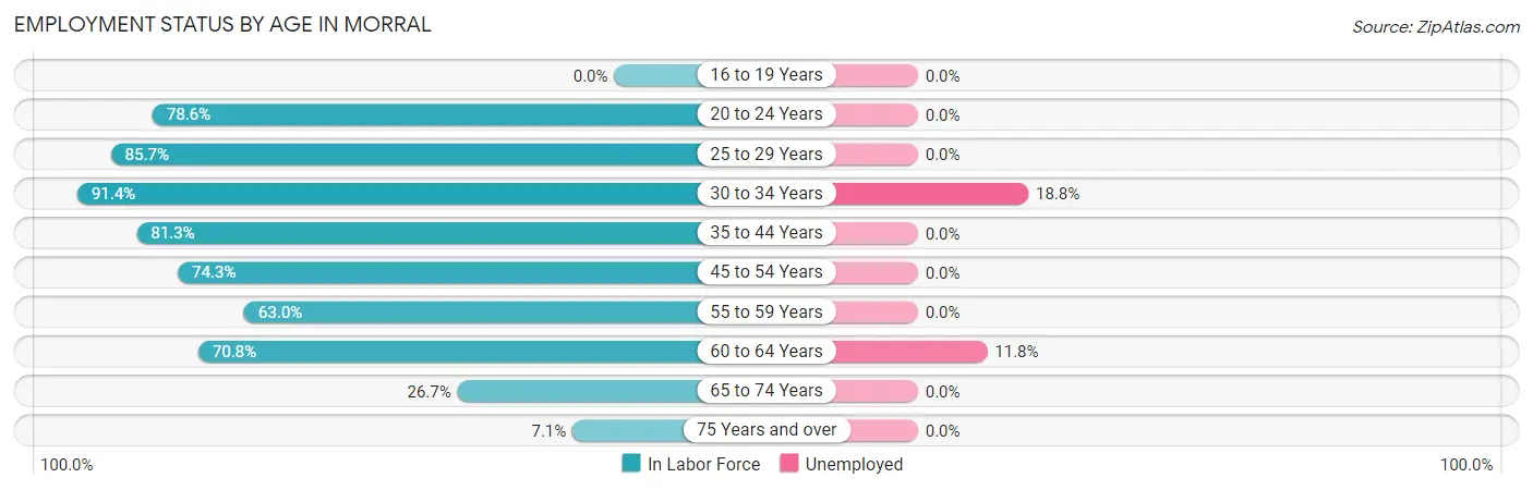 Employment Status by Age in Morral