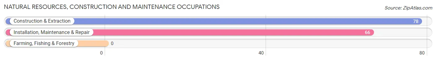 Natural Resources, Construction and Maintenance Occupations in Mount Gilead