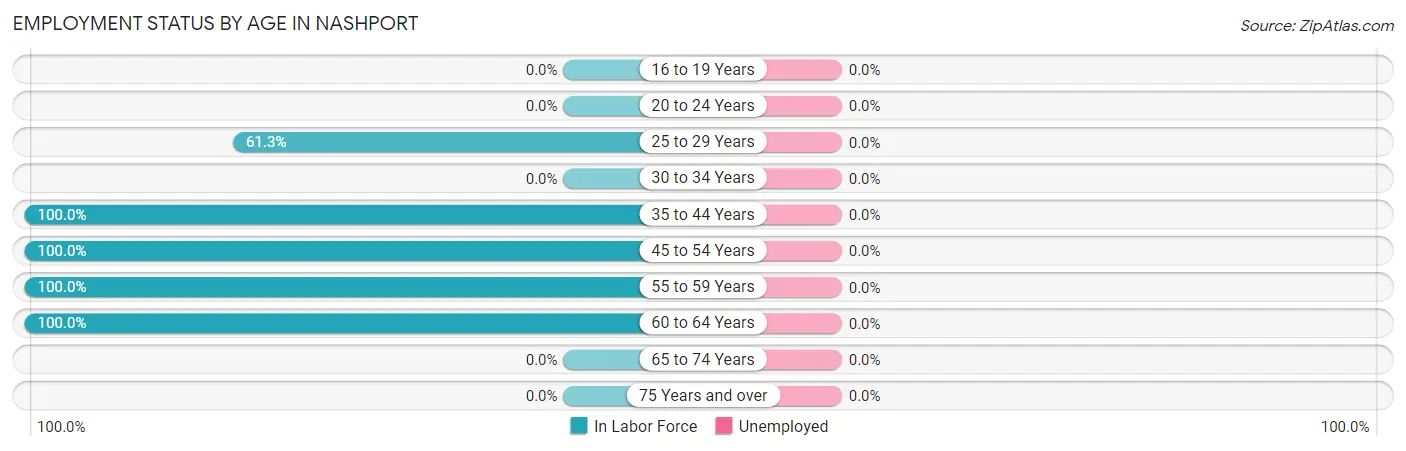 Employment Status by Age in Nashport