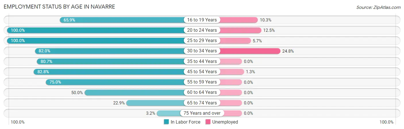Employment Status by Age in Navarre