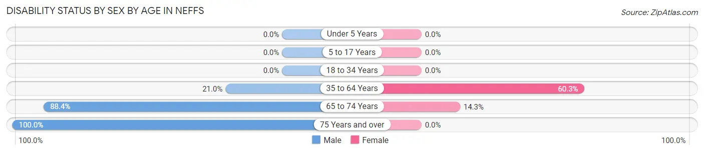 Disability Status by Sex by Age in Neffs