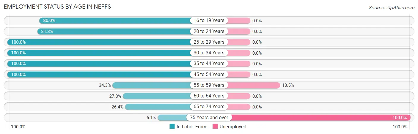 Employment Status by Age in Neffs