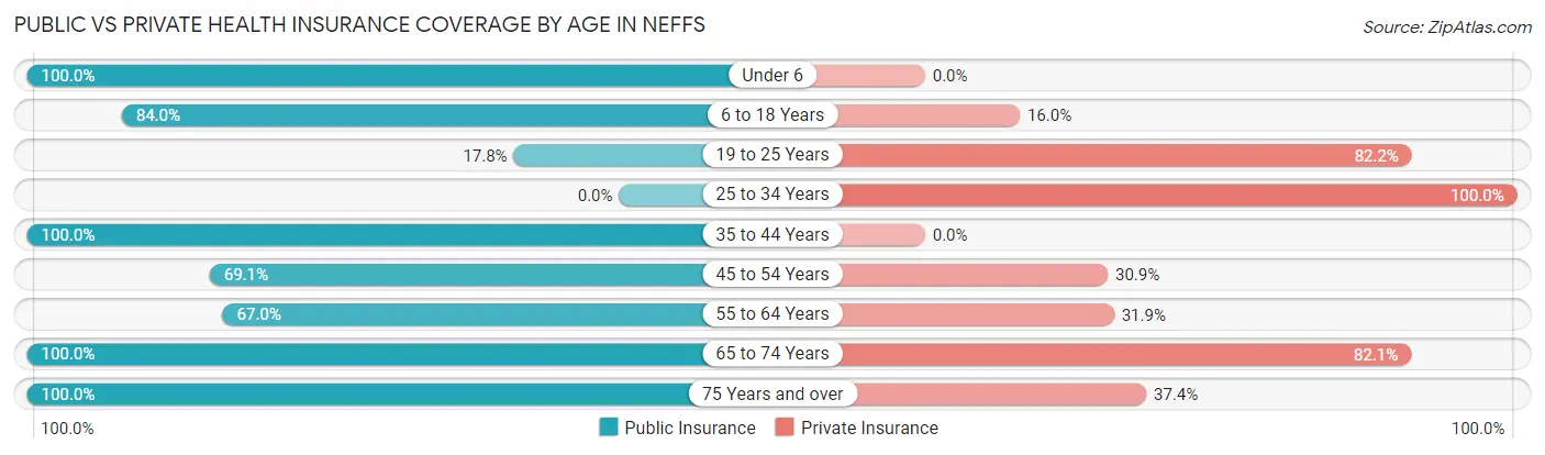 Public vs Private Health Insurance Coverage by Age in Neffs