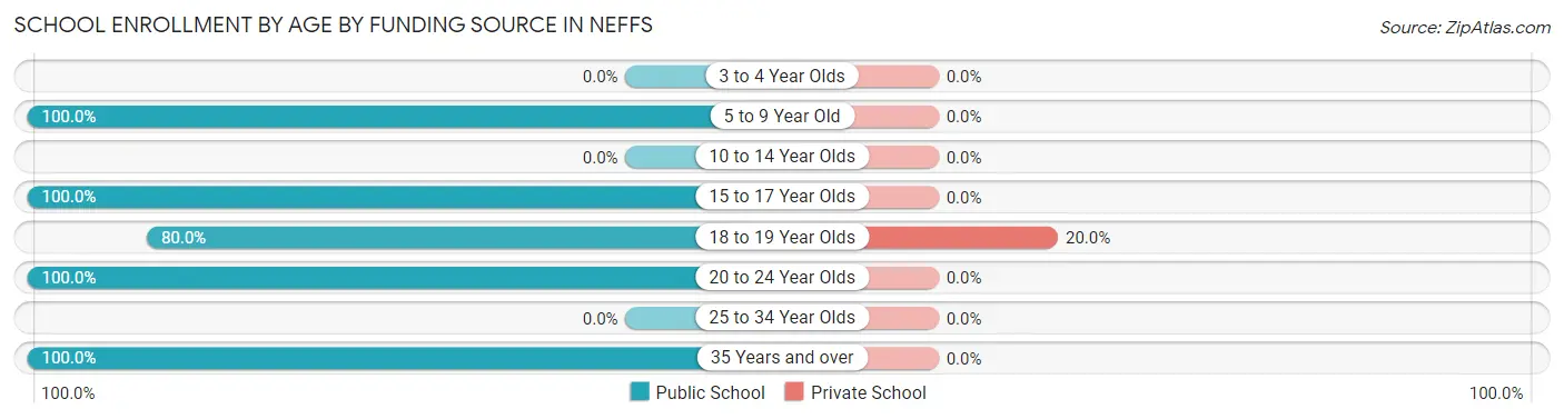 School Enrollment by Age by Funding Source in Neffs