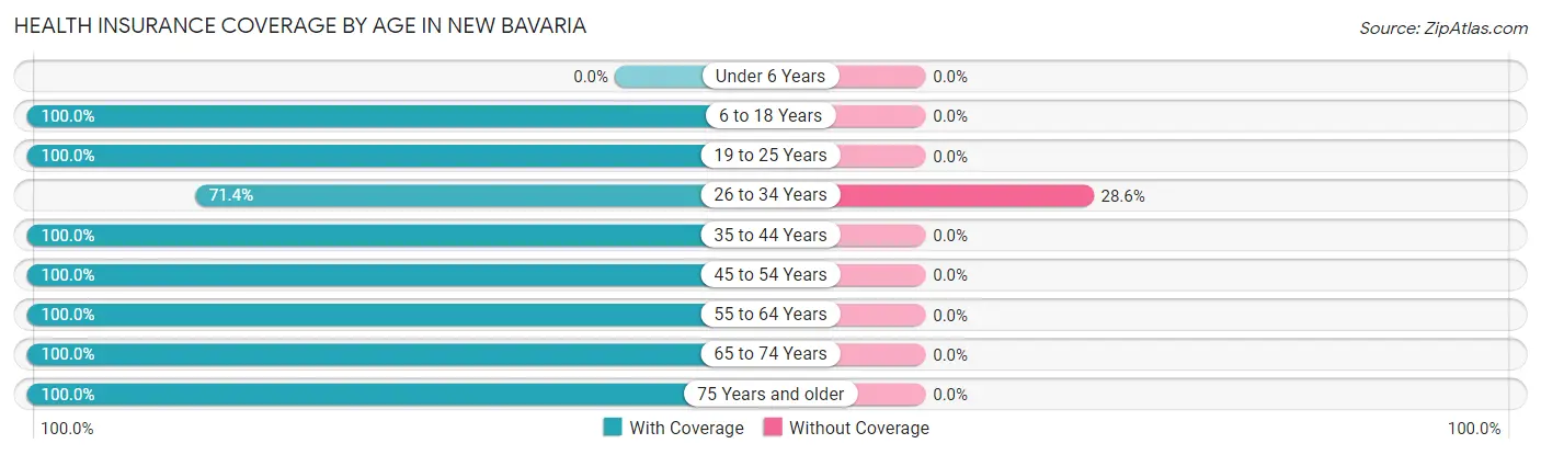 Health Insurance Coverage by Age in New Bavaria
