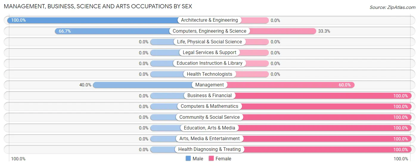 Management, Business, Science and Arts Occupations by Sex in New Bavaria