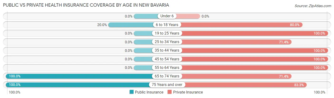 Public vs Private Health Insurance Coverage by Age in New Bavaria
