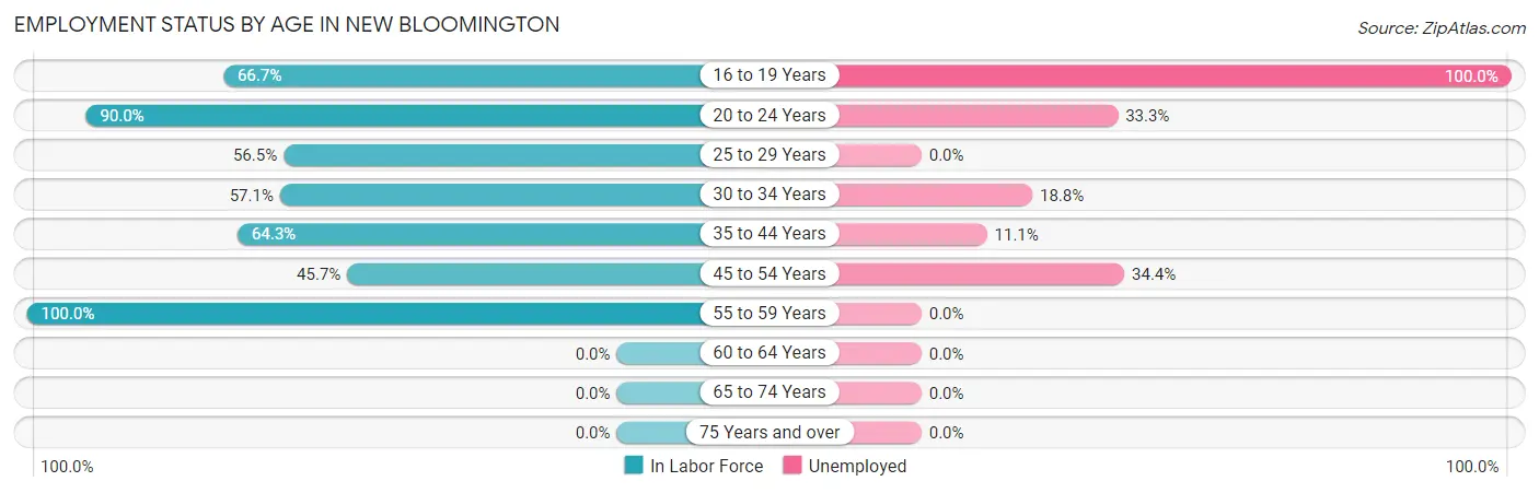 Employment Status by Age in New Bloomington