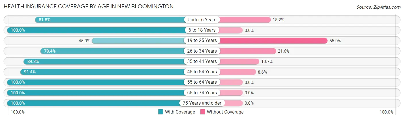 Health Insurance Coverage by Age in New Bloomington
