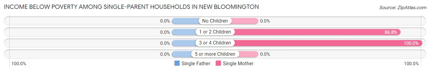 Income Below Poverty Among Single-Parent Households in New Bloomington