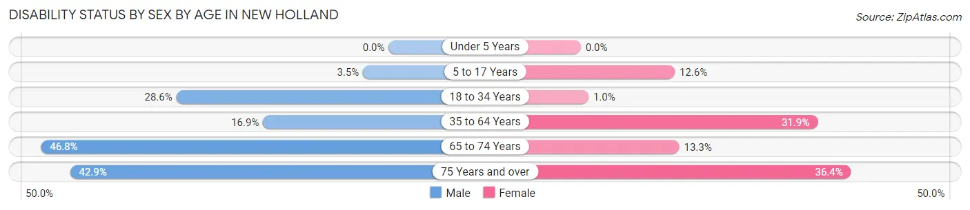 Disability Status by Sex by Age in New Holland