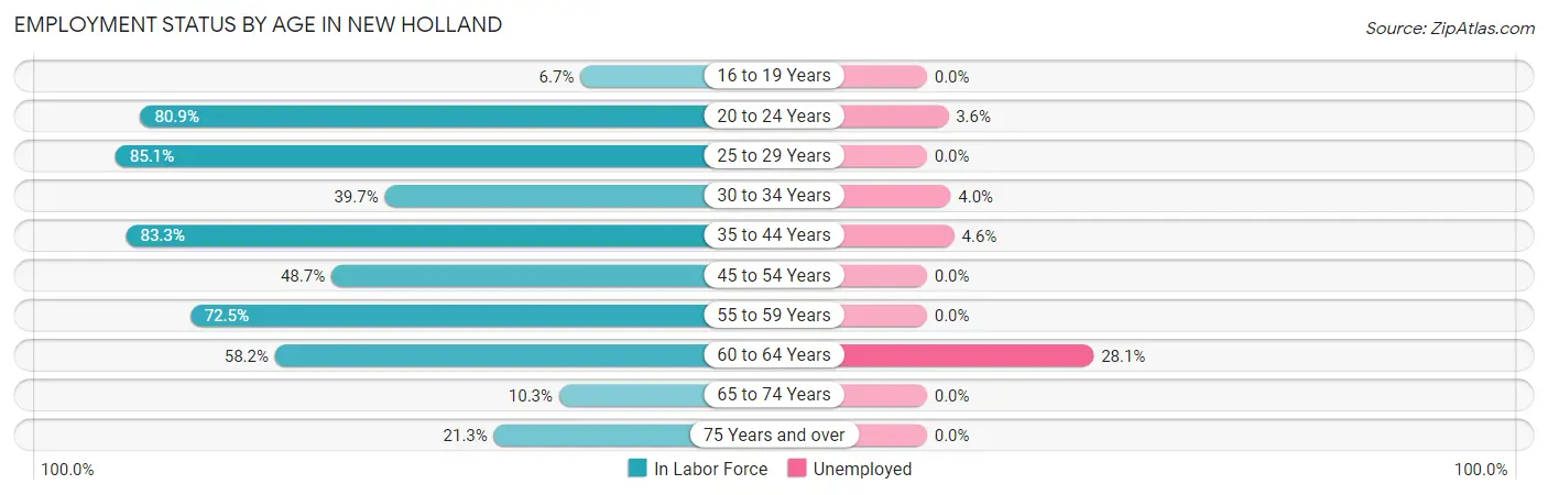Employment Status by Age in New Holland