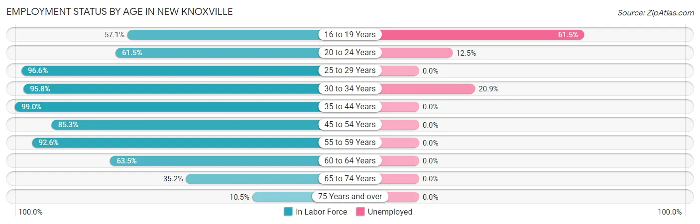 Employment Status by Age in New Knoxville