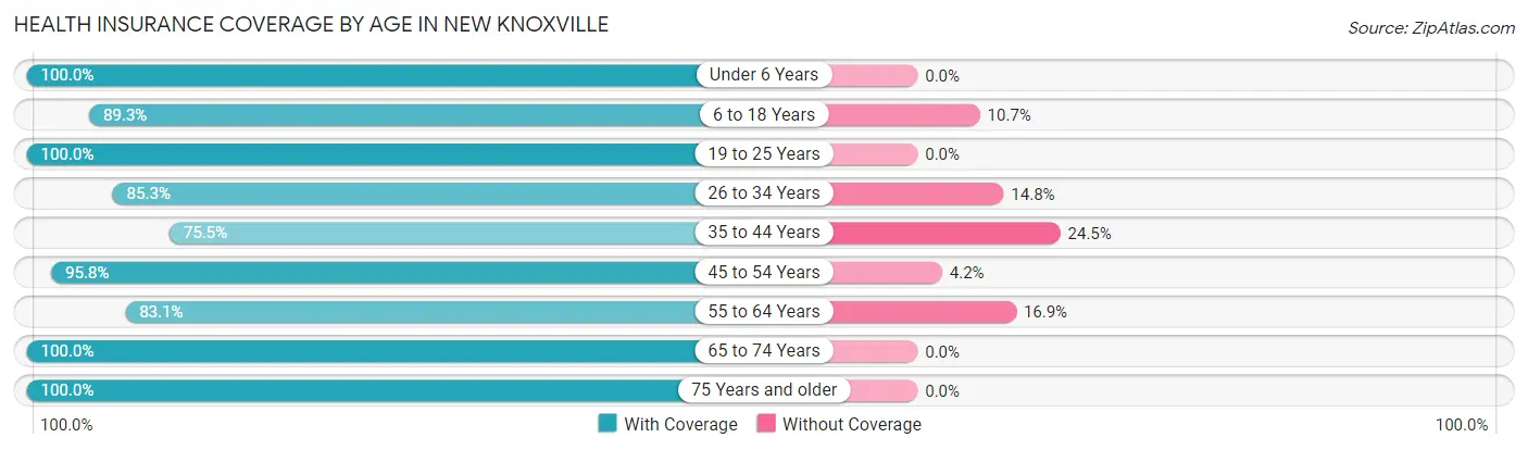 Health Insurance Coverage by Age in New Knoxville